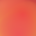 Tom Coonen, Creacoon B.V.