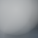 SECRET WONTED